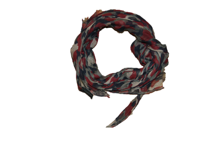 BALDESSARINI  TARNSCHAL FARBE BAROLO 594